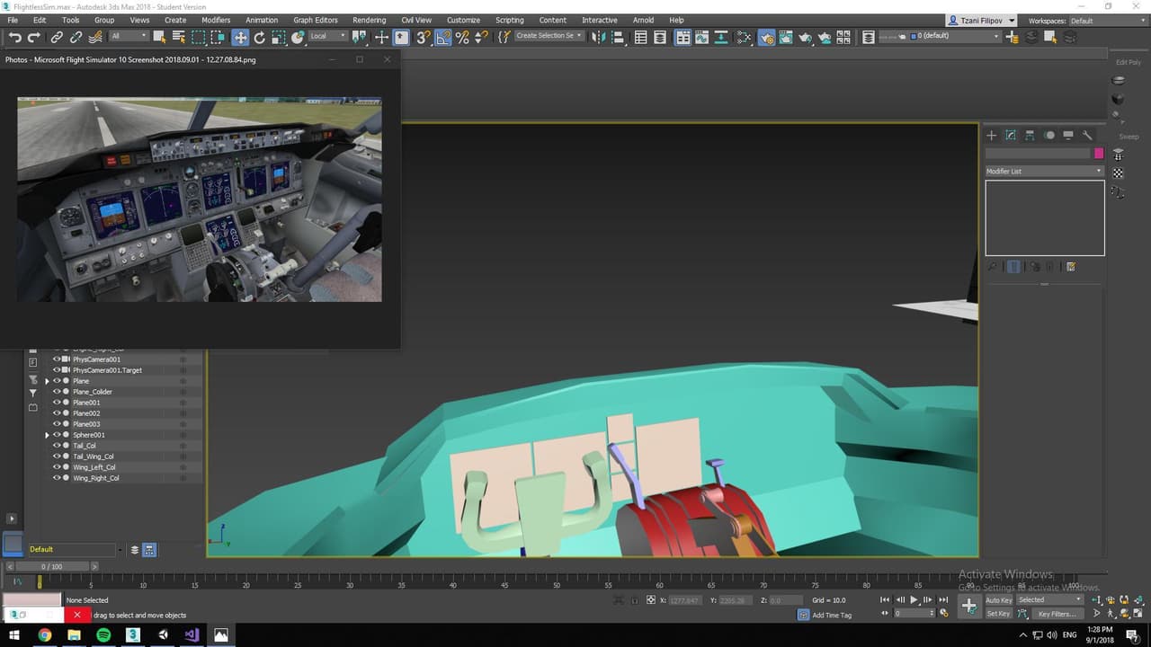 Flightless Simulator screenshot 6