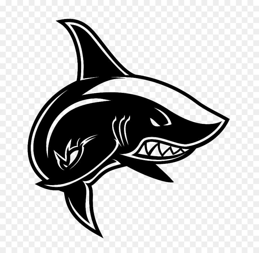 Crazy Shark 3.1