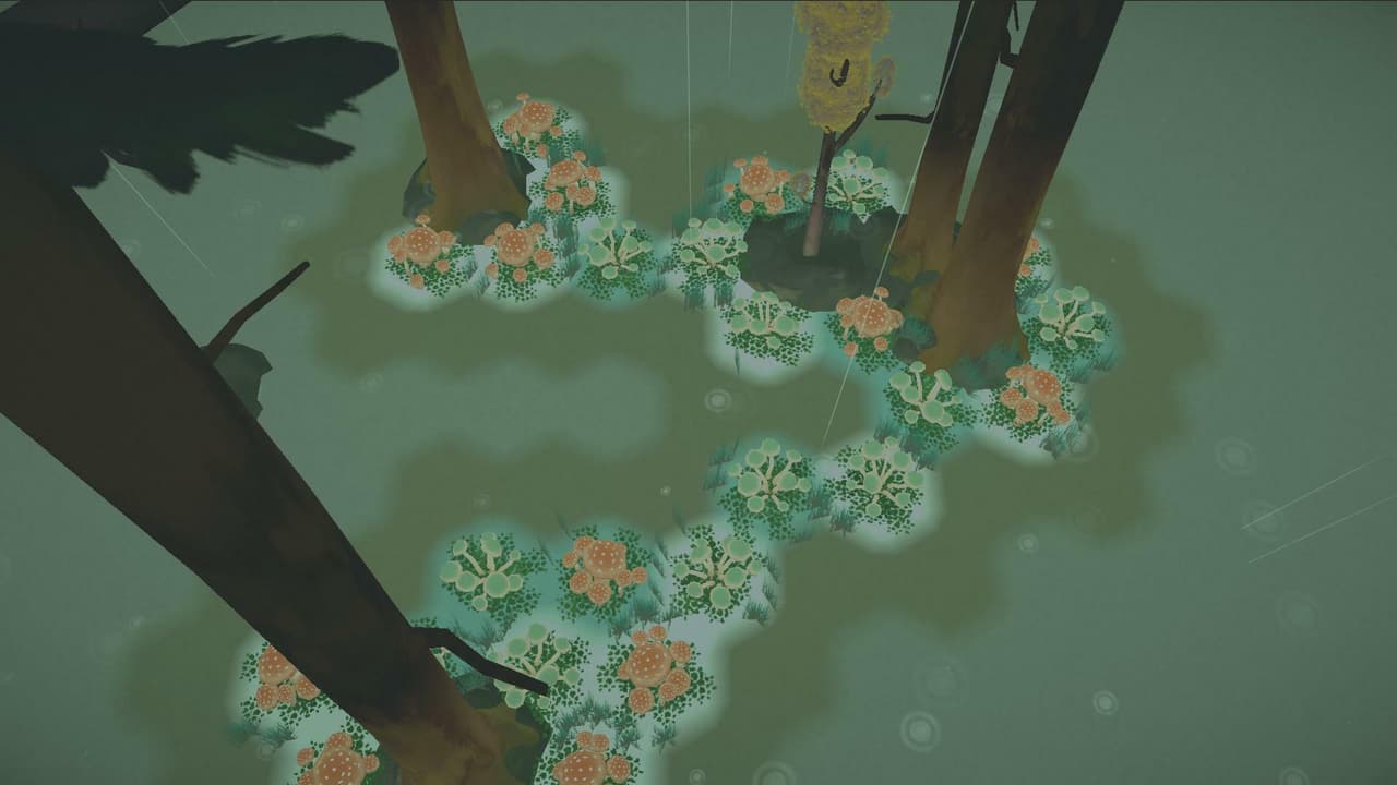 Flora & Fungi