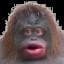 MONKE LIFE SIMULATOR
