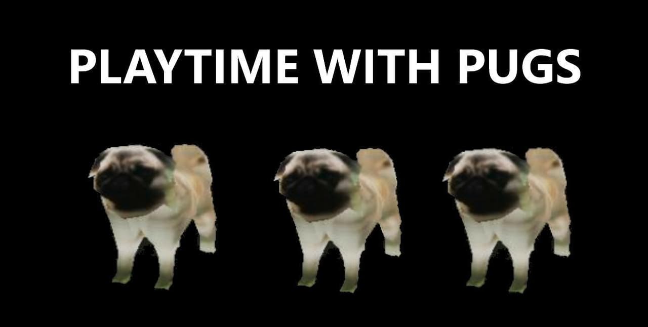PLAYTIME WITH PUGS