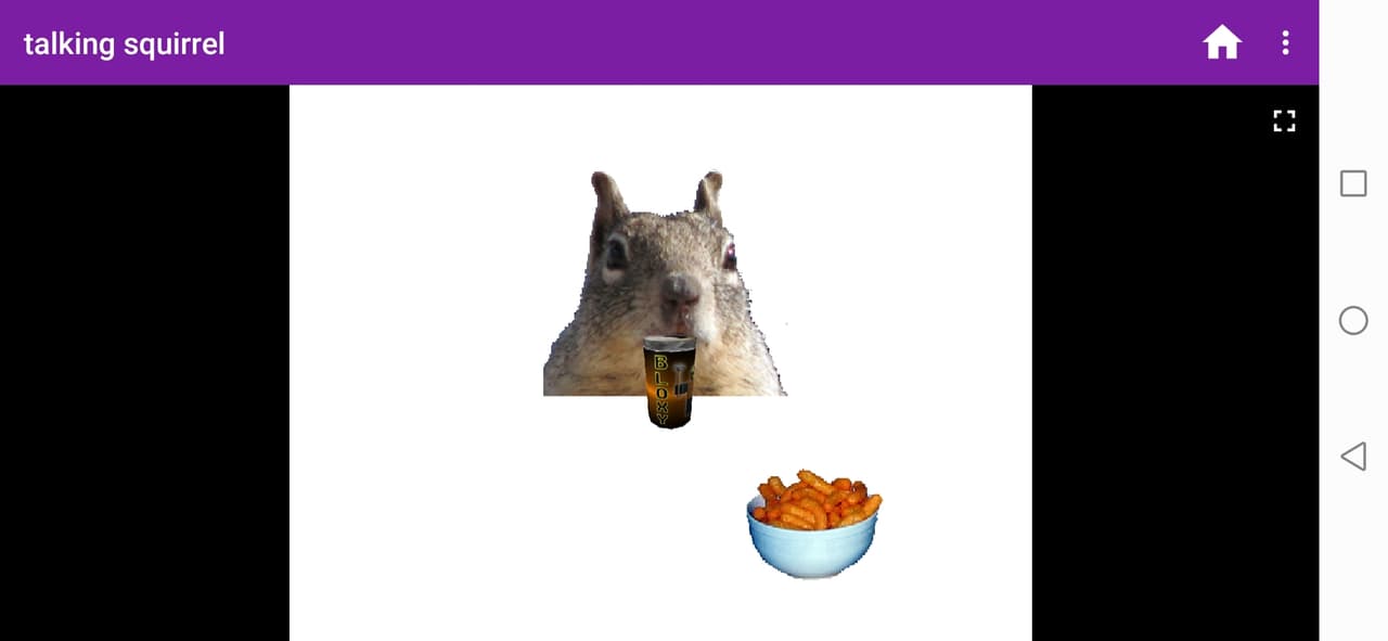 Talking squirrel screenshot 3