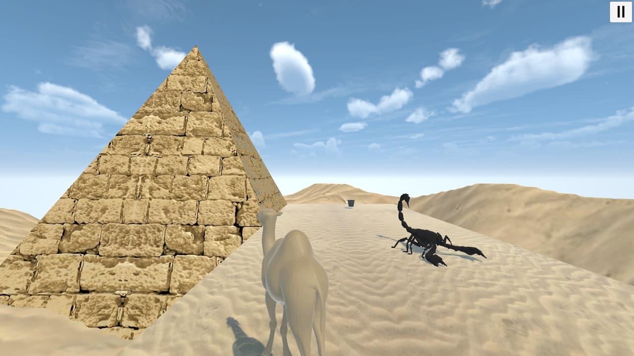 Camel game