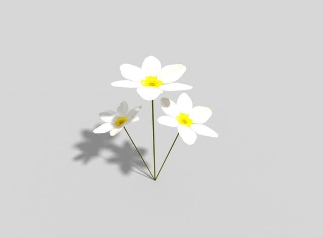 Into the Garden