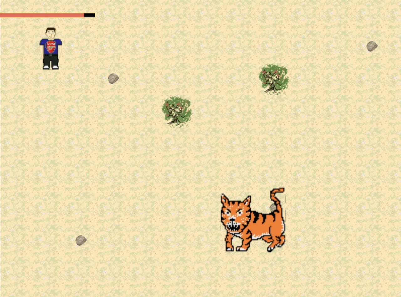 An Average Safari