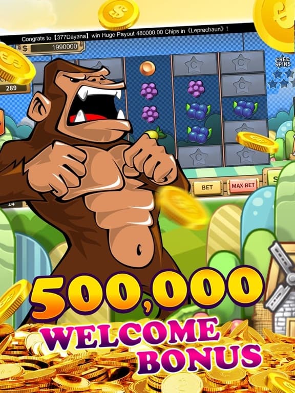 Wonder Casino