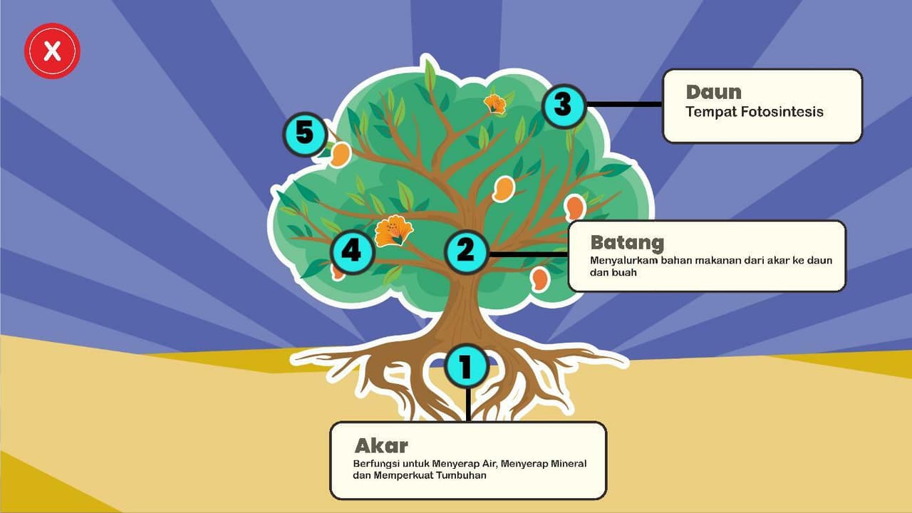 Game Struktur dan Bagian Tumbuhan screenshot 3