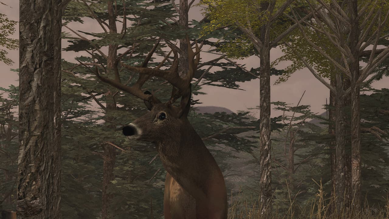 Deer Simulator screenshot 2