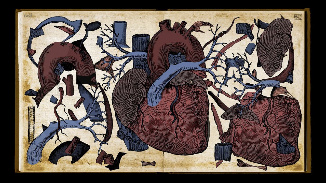 Wound Man screenshot 2