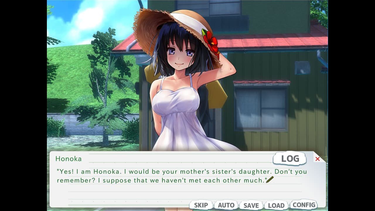My Erotic Summer Memories screenshot 2