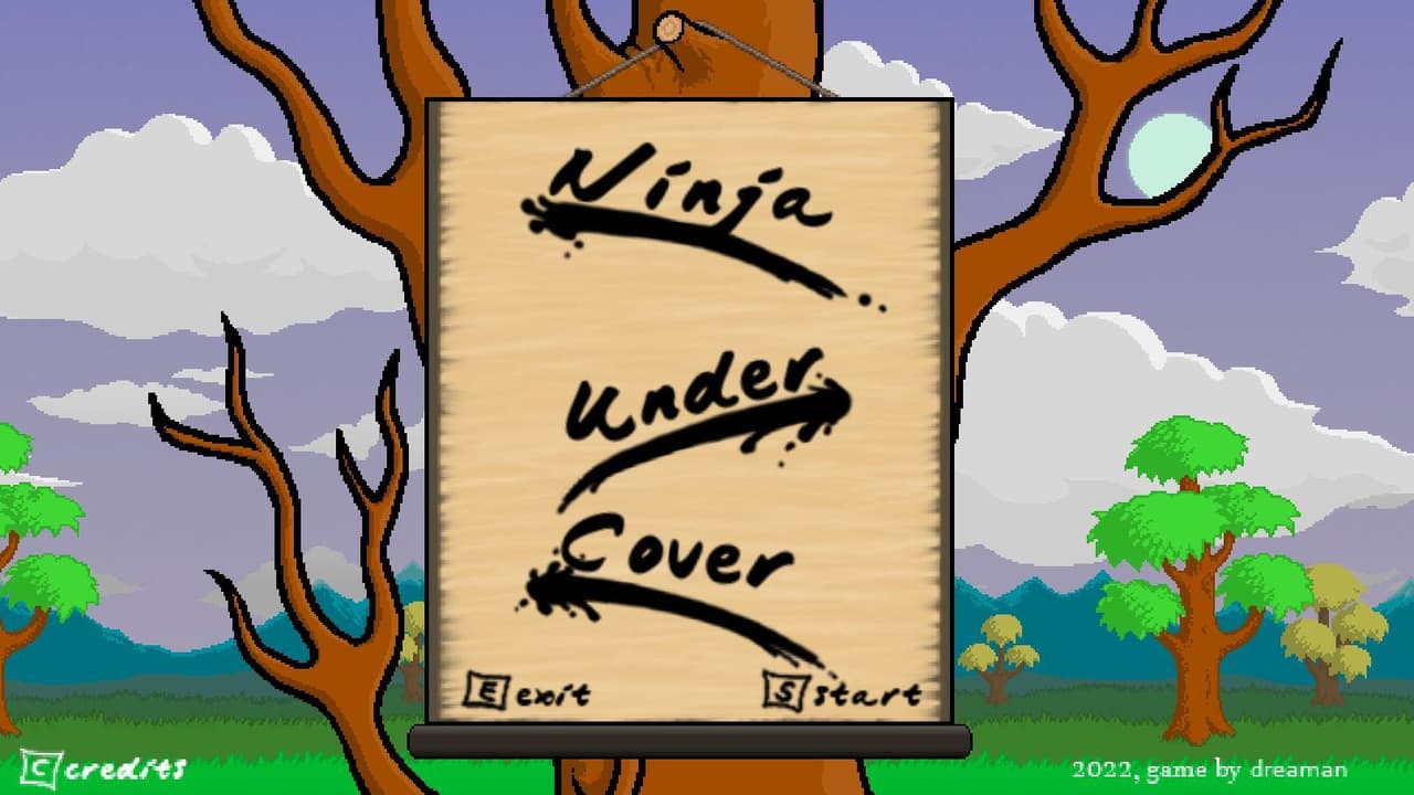 Ninja Under Cover screenshot 2