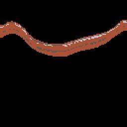 1D view of a 2D world