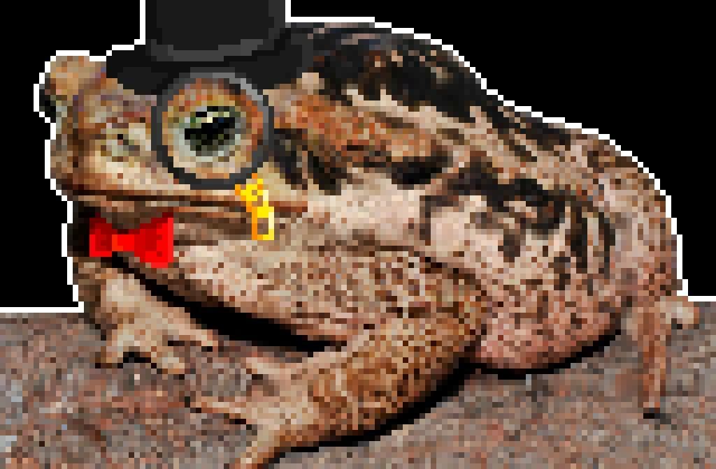 frog king (losart)