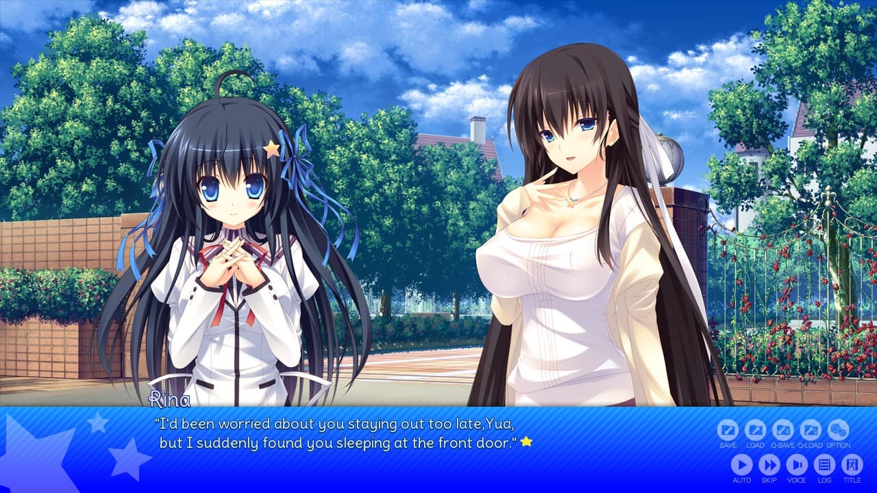 Amatarasu Riddle Star screenshot 4