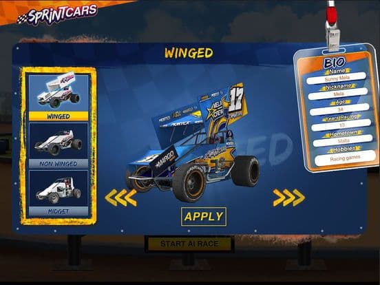 Dirt Trackin Sprint Cars screenshot 2