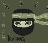 Ninja Training