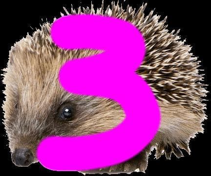 The Flying Hedgehog 3