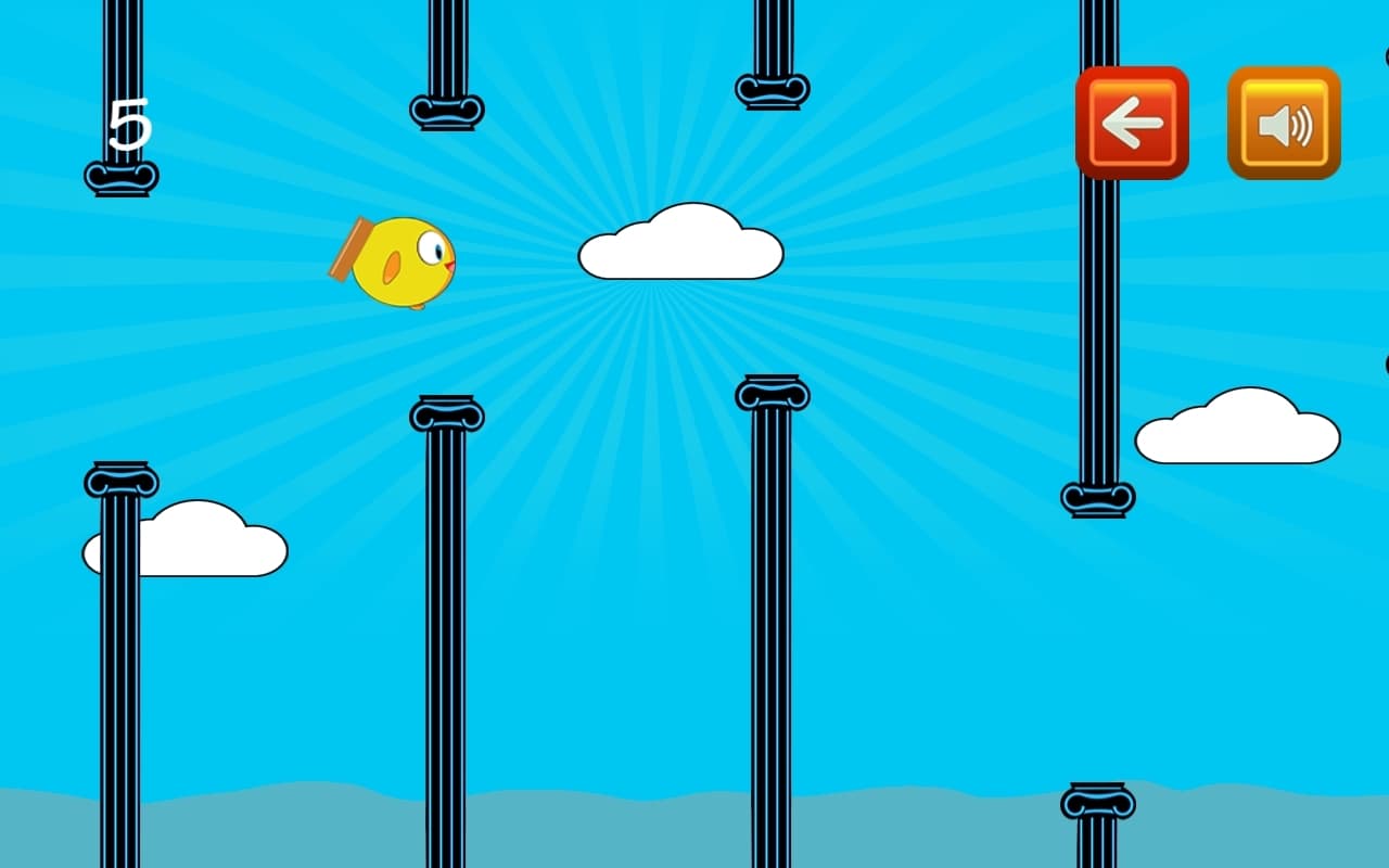 bird fly