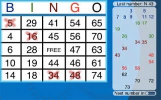 Bingo World Wide screenshot 3