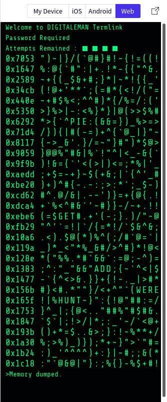Termlink access hack screenshot 2