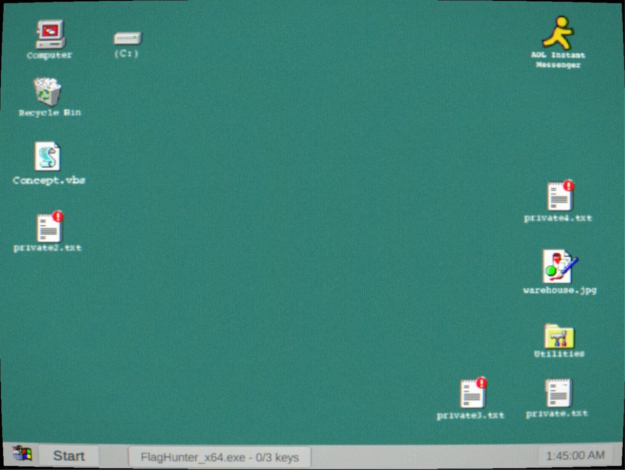 FlagHunter_x64 screenshot 2
