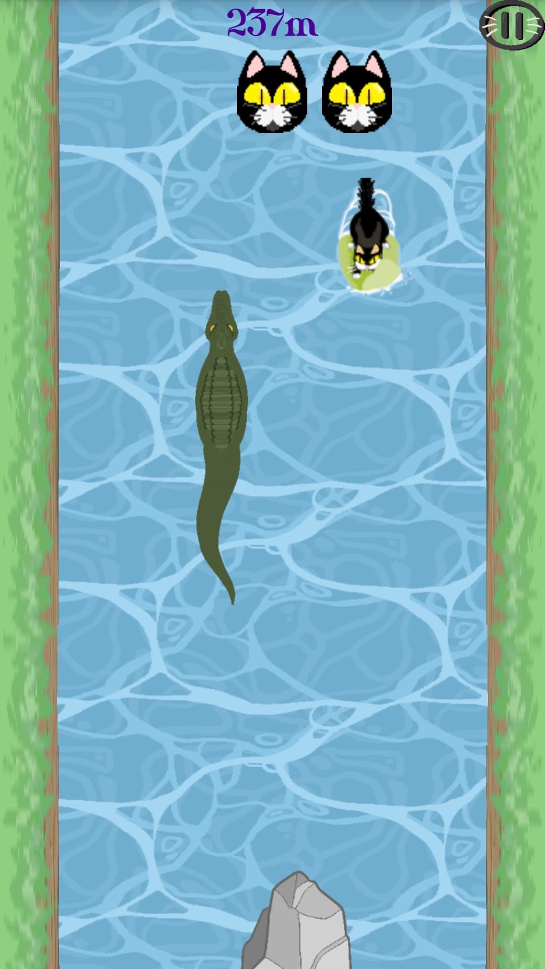 CatRaft screenshot 3