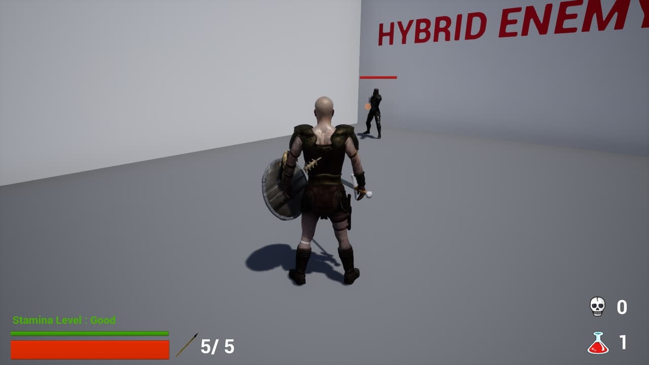 Third Person Fighting Game