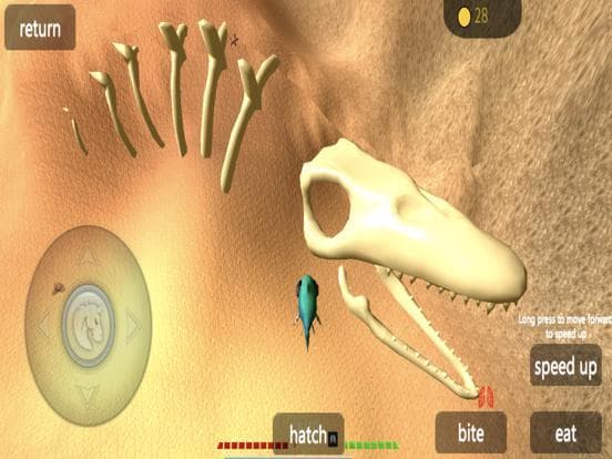 3D Fish Growing 2020 screenshot 4
