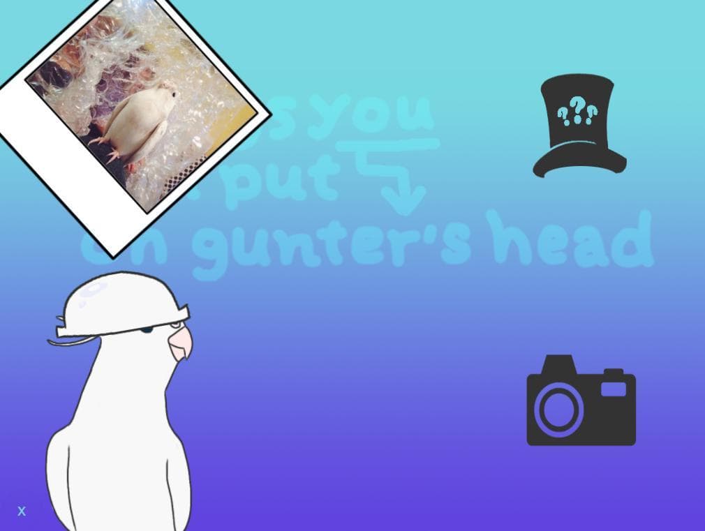 things you can put on gunters head screenshot 4