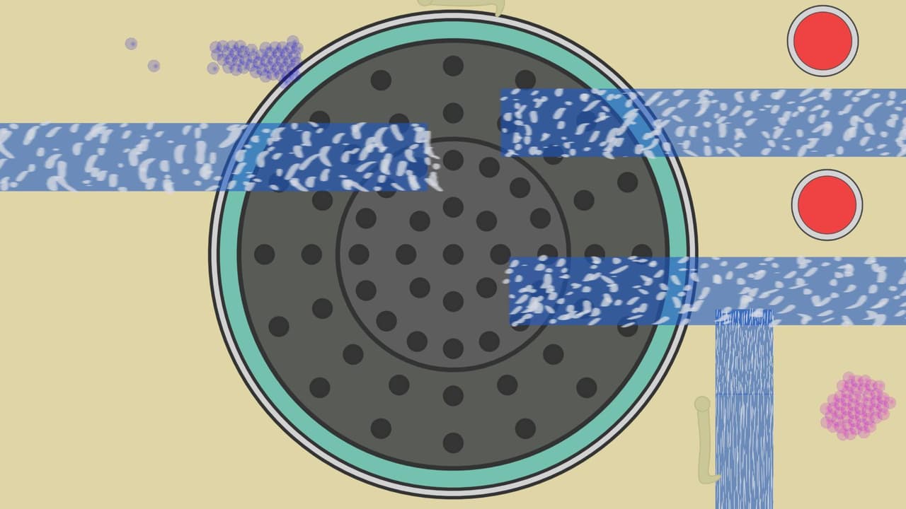 Foam Matchmaking