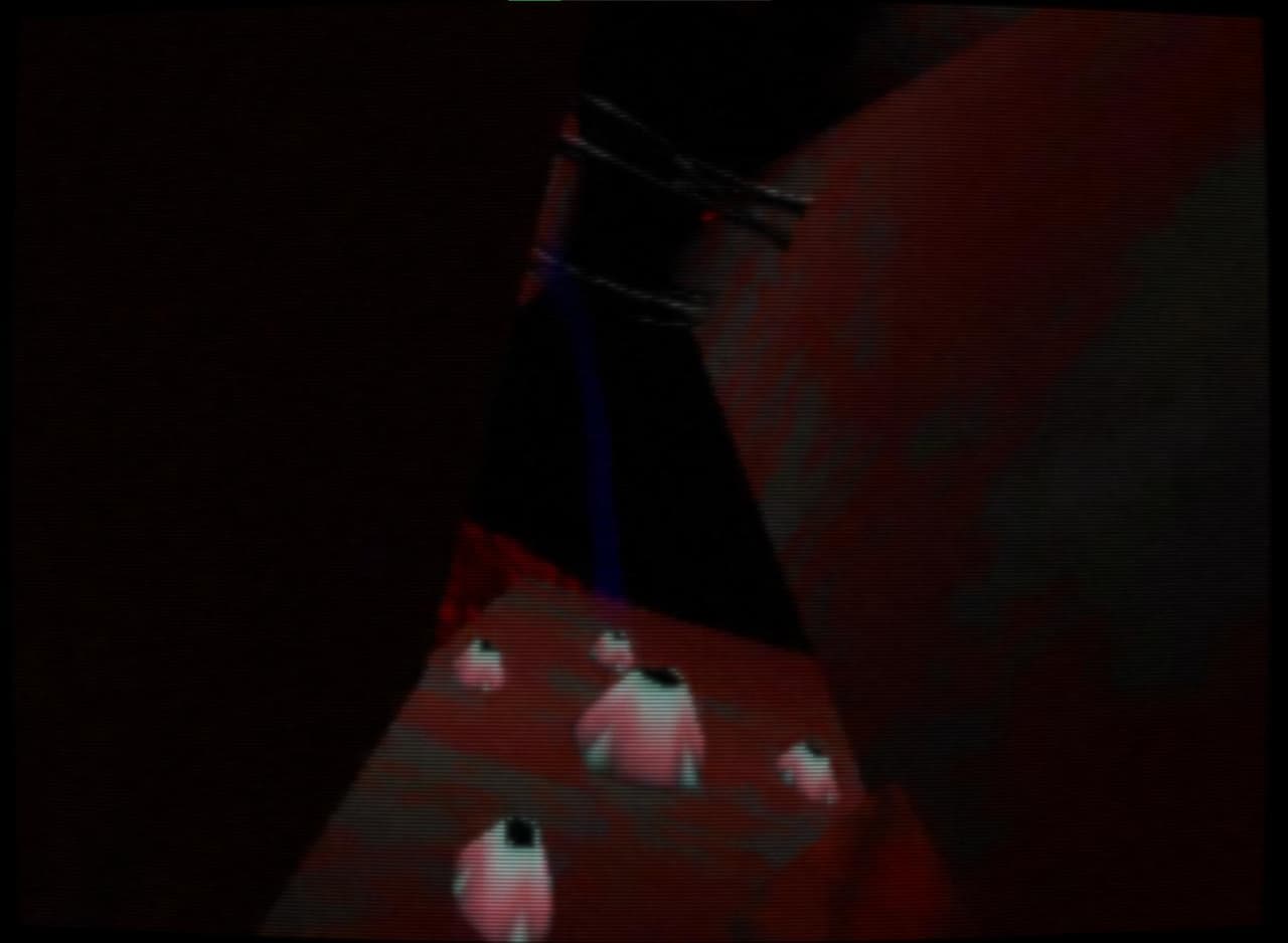 Turtle City (SYNTHIA_2000) screenshot 3