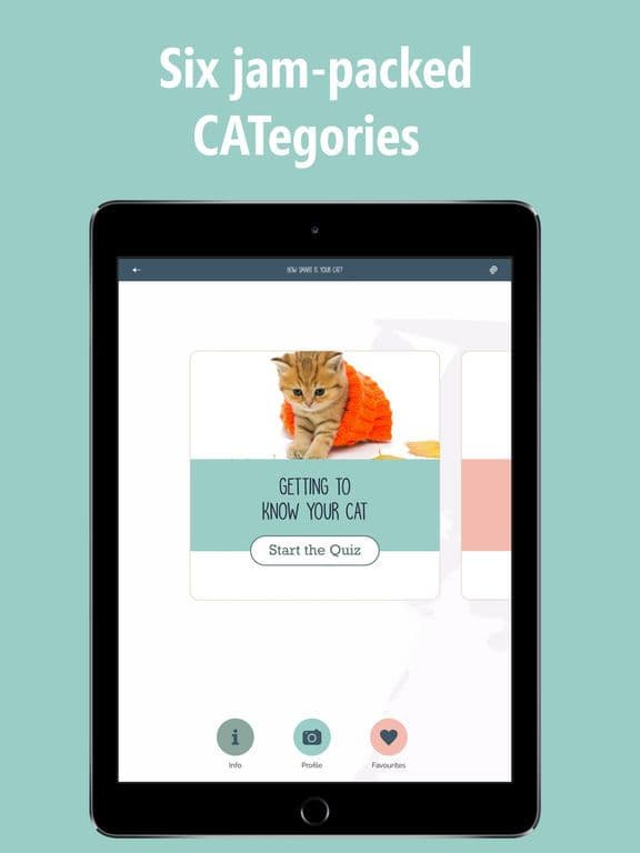 How Smart Is Your Cat? Fun Ways to Find Out! screenshot 5