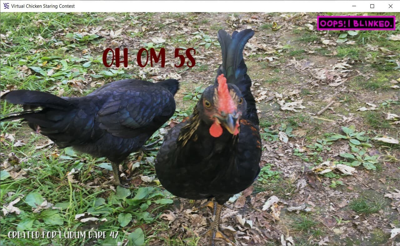 Virtual Chicken Staring Contest