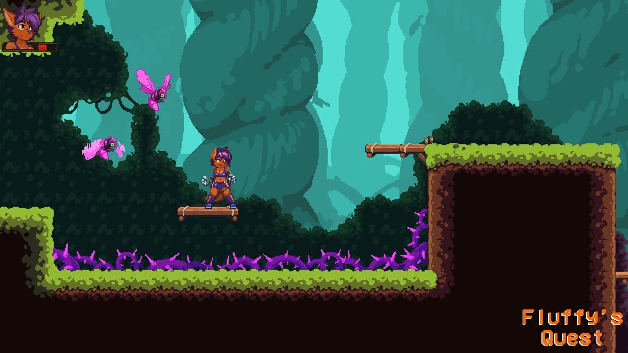 Fluffys Quest