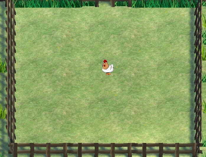 Chicken Chicken