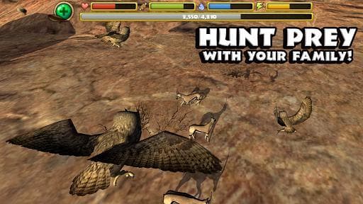Owl Simulator