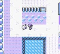 Pokemon Yellow Edition: Pocket Face screenshot 4