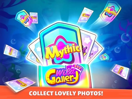 Bingo Wild-BINGO Games Online