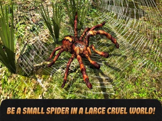 Spider Life Simulator 3D Full screenshot 2