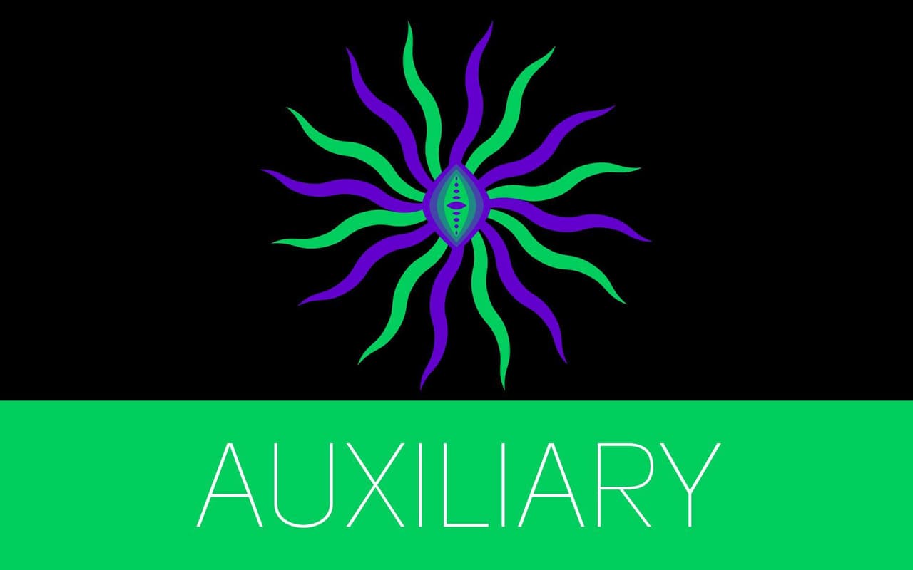 Auxiliary