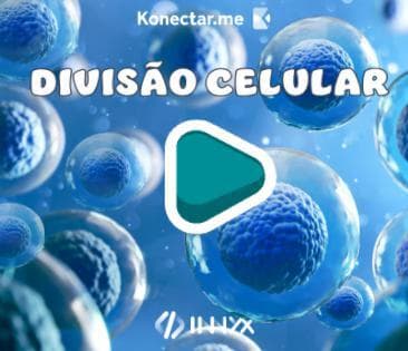 divisaocelular