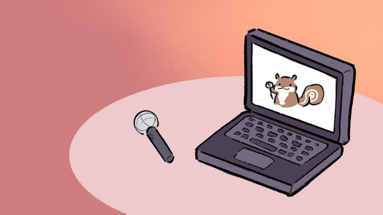Squirrel Newsletter