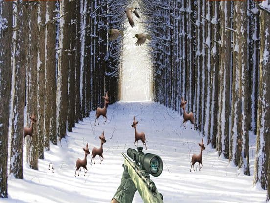 Deer Sniper Hunter 2016