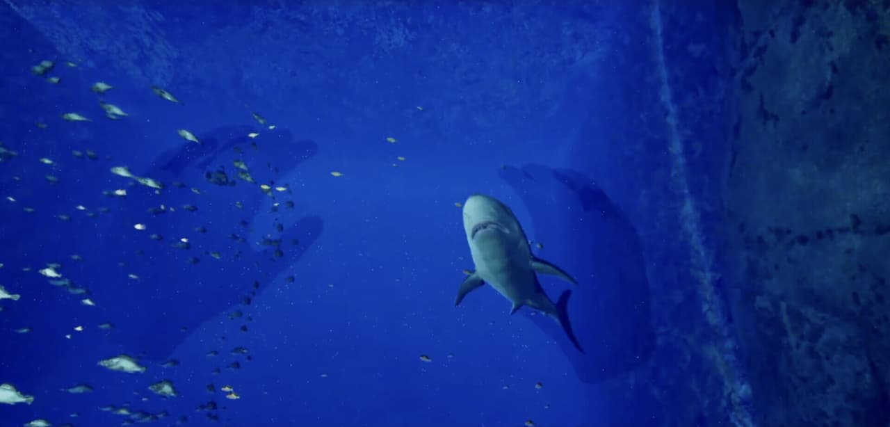 Aquarium at August 32nd VR screenshot 2