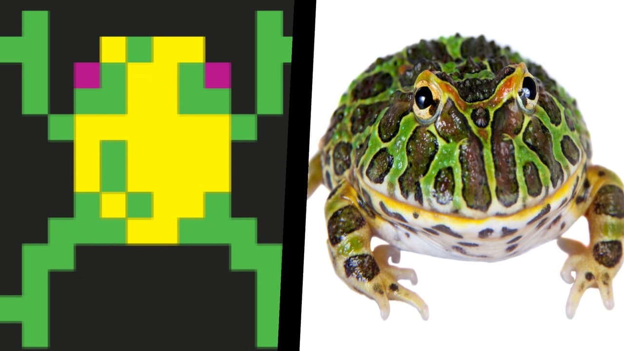 FroggeR (itch) (Robot831)
