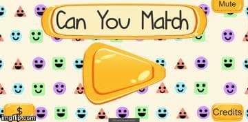Can you Match? screenshot 2