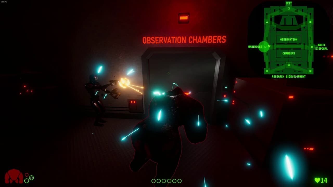 Escape From Mandrillia