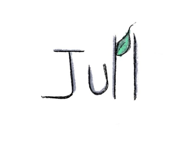 Jull