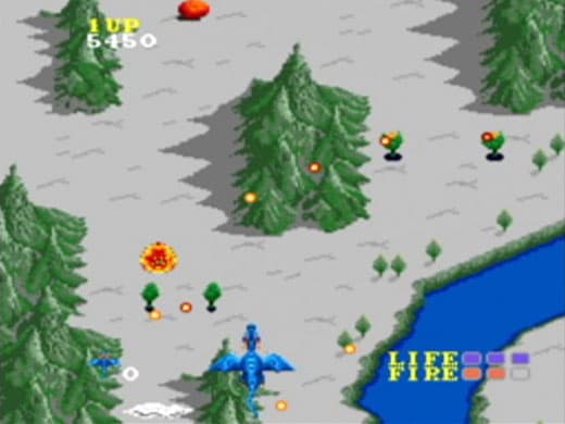 Dragon Spirit screenshot 6