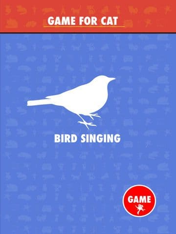 Game For Cat Pro